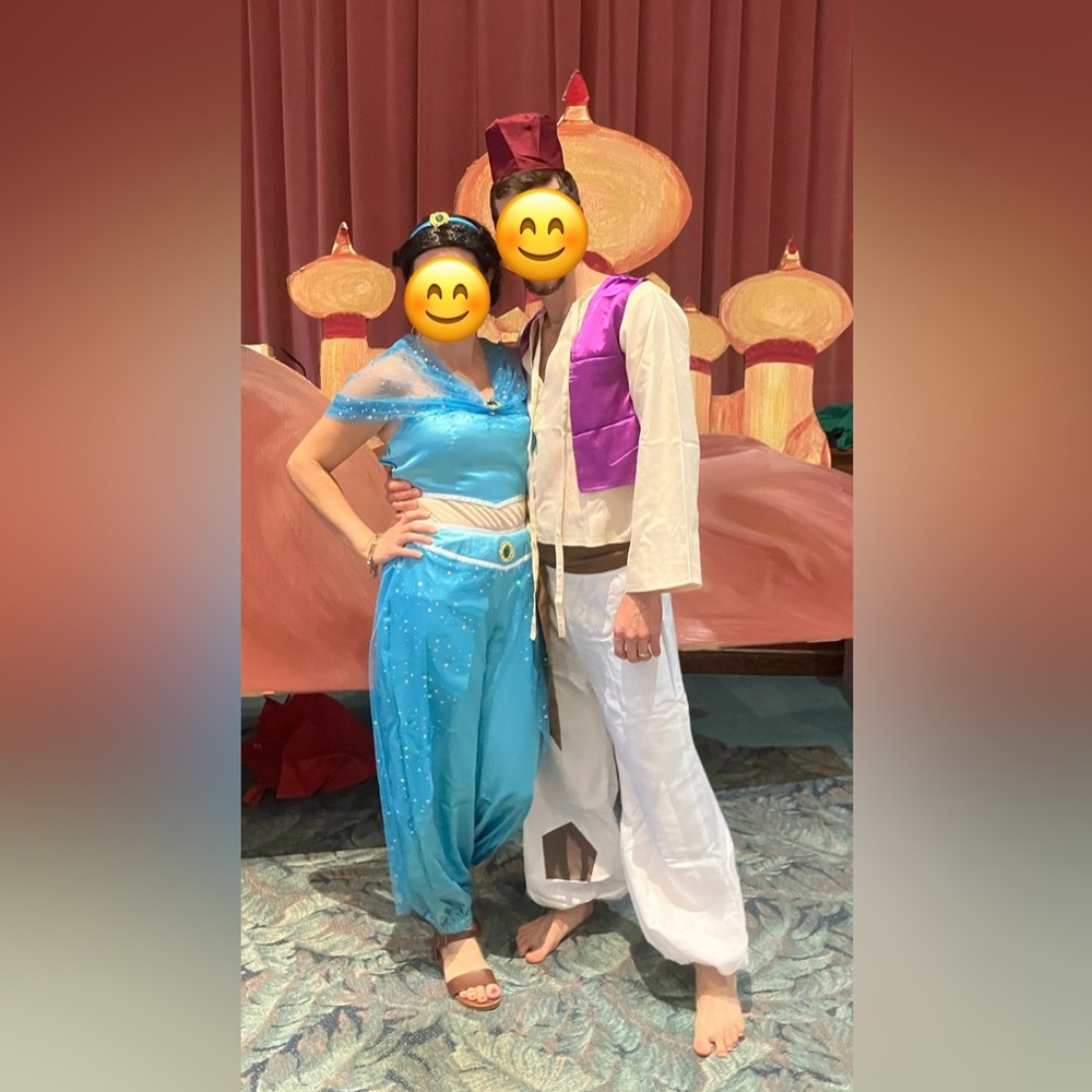 Jasmine (Aladdin) costume/cosplay adult woman